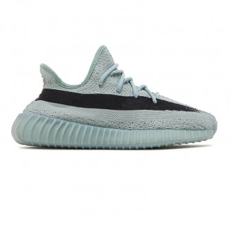 Yeezy Boost 350 V2 Slate Onyx Salt Bone Dazzling Blue Tint Red Oreo Cream White 