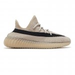 Yeezy Boost 350 V2 Slate Onyx Salt Bone Dazzling Blue Tint Red Oreo Cream White 