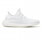 Yeezy Boost 350 V2 Slate Onyx Salt Bone Dazzling Blue Tint Red Oreo Cream White 